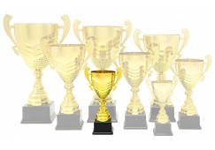 1023 G - Premium Cup